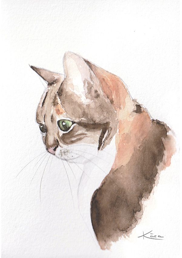 Acuarela de la gata Pitu